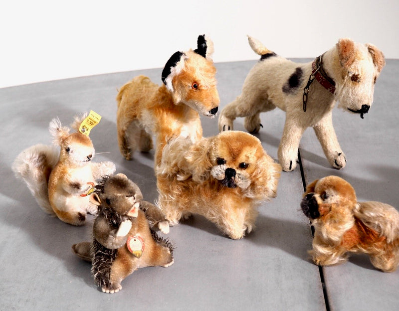 Collection of seven Steiff teddy bears, 20th C. - Selected Design & Antiques
