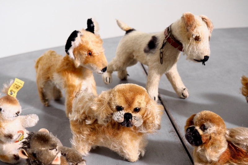 Steiff collection sale